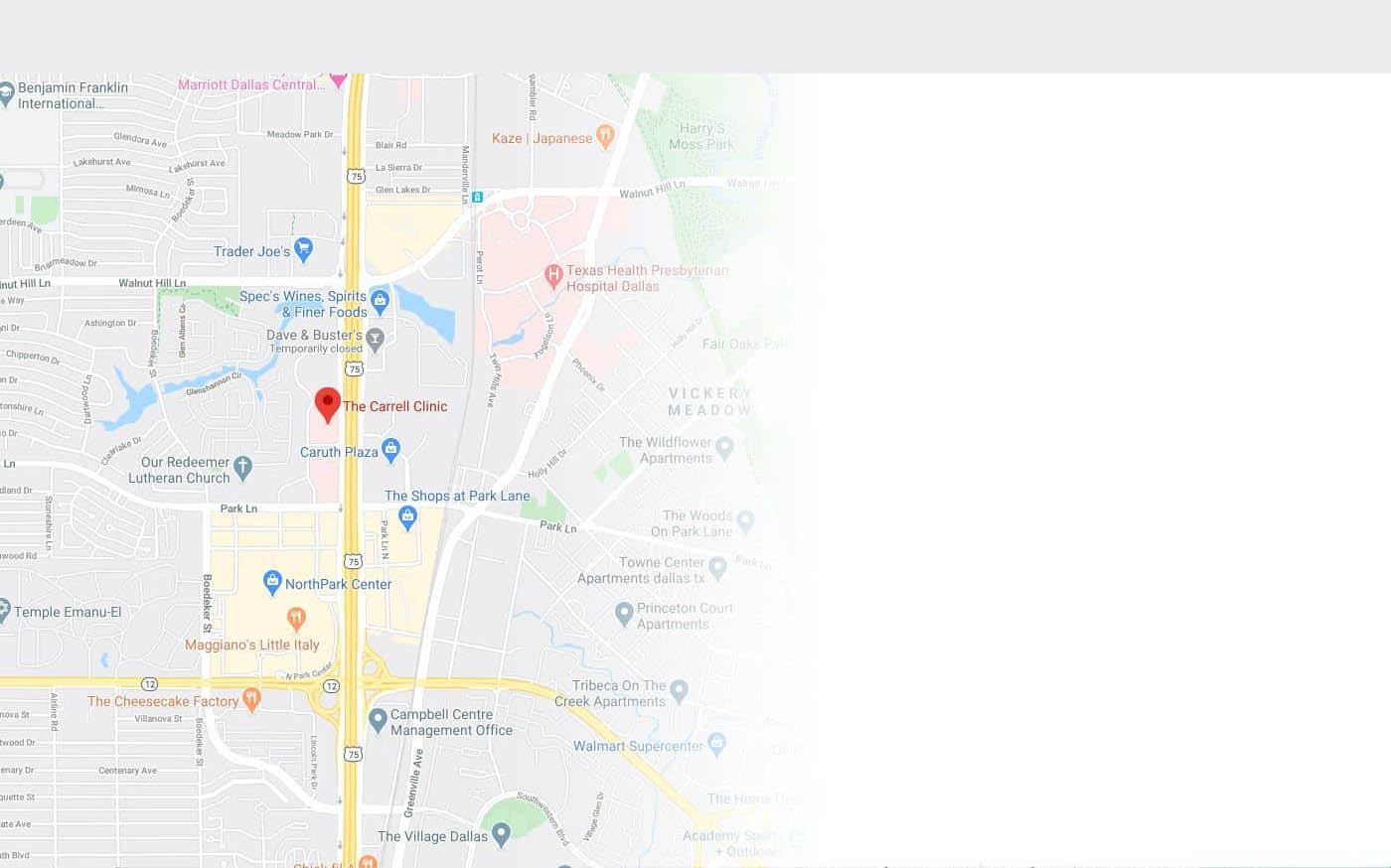 Google map image with icon